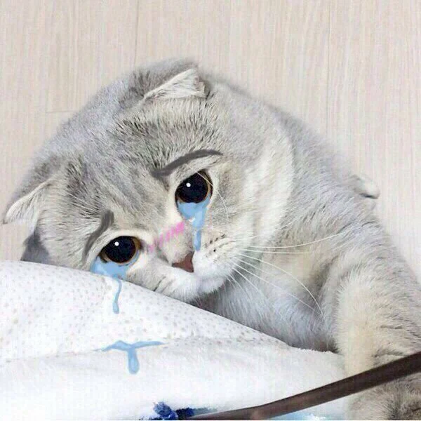 hinh-anh-khoc-cute-3