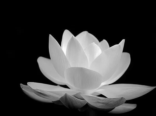 TOP [999+] ảnh buồn tâm trạng đăng Facebook so deep
