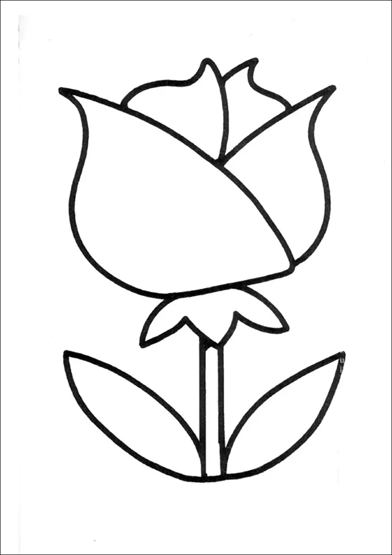 Tranh tô màu bông hoa tulip đơn giản cho bé
